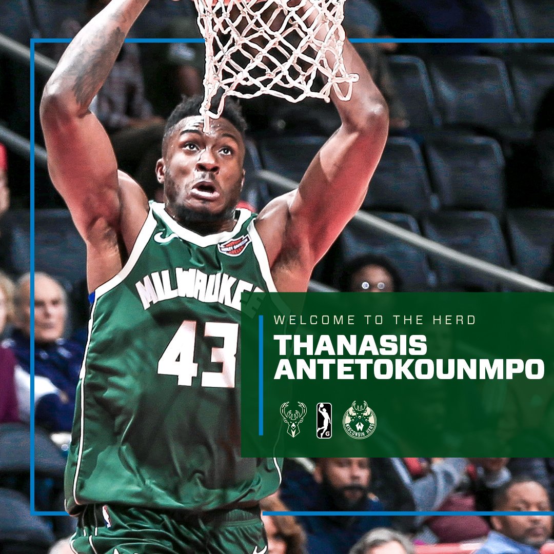 得分篮板均 得分篮板均